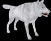 Derivable Wolf