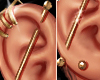 CH. MEKA Earrings Gold