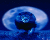 moonlight lion