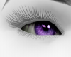 *Lavender Eyes*