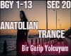 Bir Garip Yolcuyum