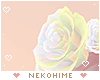 Metamorphosis Roses