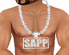 Custom Sapp Chain