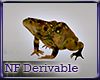 NF Frog Derivable Mesh