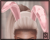 |S| Pink Bunny Ears *Ani