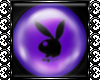 Purple Bunny Plugs[F]