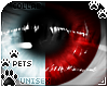 [Pets]Frankie | eyes 2-T