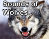Wolf sounds