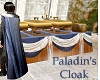 Paladins Cloak