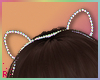 Rach*Kitten Ears-Rainbow