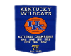 Wildcats Banner
