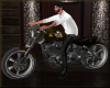 Harley Motorcycle