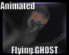 Flying Ghost