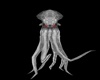 Deep  Gray Squid
