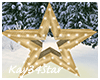 Christmas Star Decor