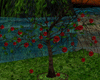 [kyh]water tree apple