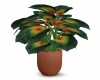 POTTED PLANT