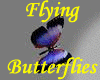 ~ Flying ! Butterflies
