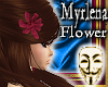 Hair Flower *Myrlena*