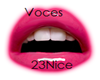 Voces Nice23-1