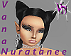 (VN) Anim Black Cat Ears