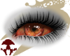 Blood Coma Eyes [F]
