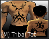 (LL)XKS Male Tribal Tat1