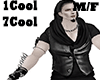Z* Masculine Cool D. M/F