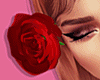 Rose | Red BUNDLE