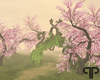 🤍P Forgotten Sakura