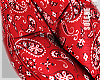 s | Paisley Red L