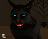 Cat / Salem