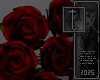 Darkness roses