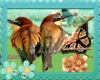 GT!Bird&ButterflyEnhance