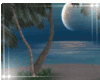 Beach Luna