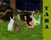 Paradise Bunnies Pets