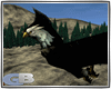 [GB]eagle flying
