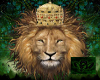 (B) reggae lion