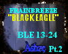 {Ash}Black Eagle pt2/2