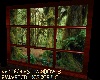 RAIN FOREST WINDOW 3 ANI
