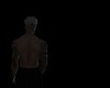 AMBIENT SHADOWS
