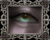 áª sangoon eyes