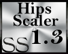 *SS Hip Scaler 1.3