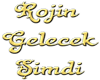 [S] Rojin BrB