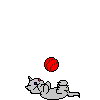 Cat And Ball