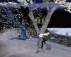 Winter Climbing Tree