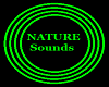CJ's Nature Sounds