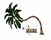 Swing Bench Palm Tree
