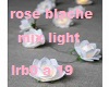 les roses blanche