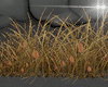 Grass Border